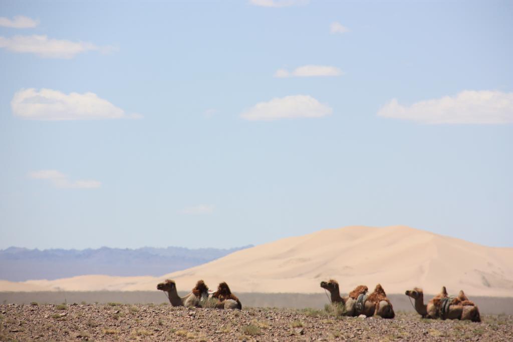 Golden Gobi Hostel & Tours Ułan Bator Zewnętrze zdjęcie