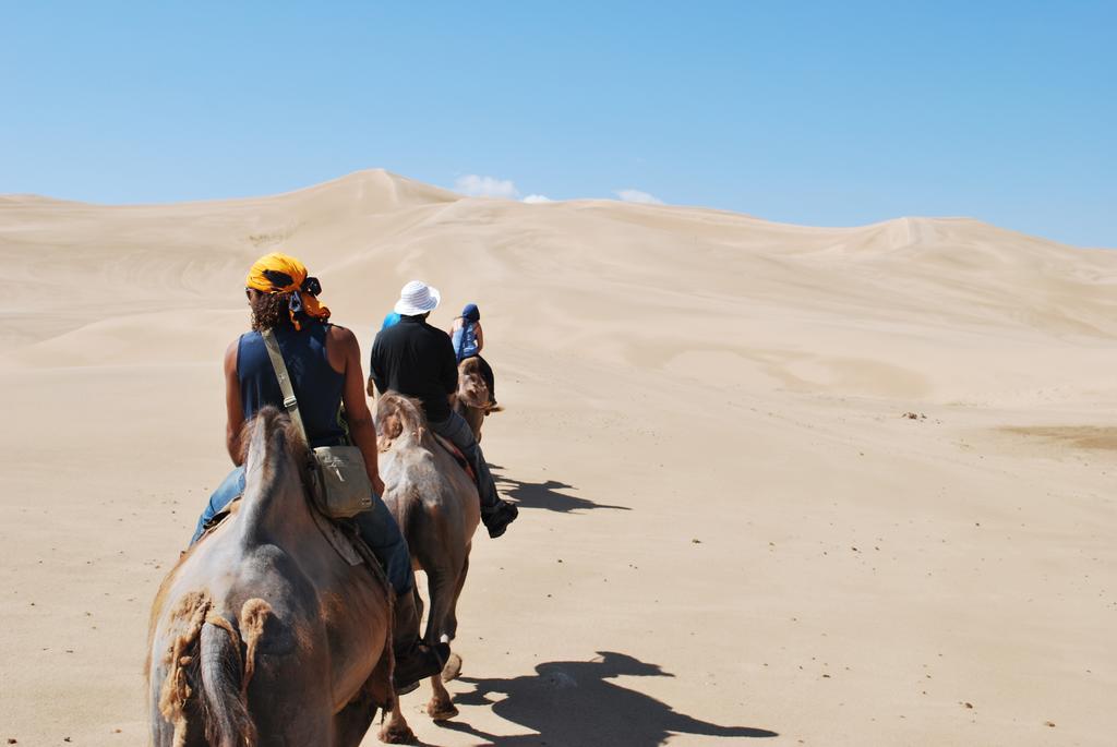 Golden Gobi Hostel & Tours Ułan Bator Zewnętrze zdjęcie